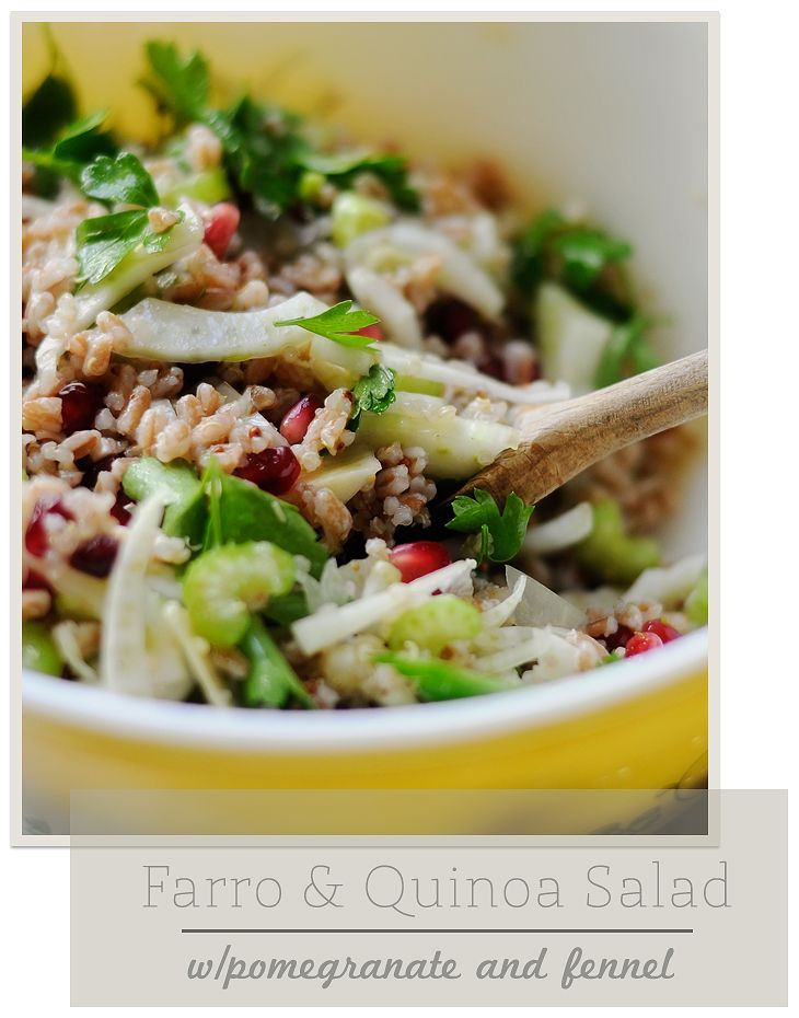 the parsley thief Farro & Quinoa Salad with Pomegranate and Fennel